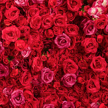 Blumenwand mit roten Rosen
