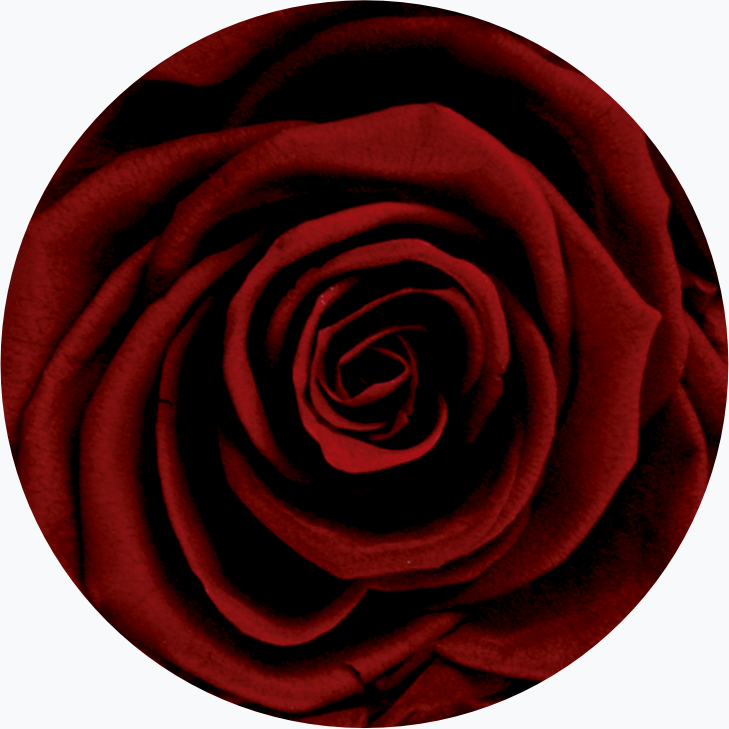 Laroosa Farbauswahl - Rose